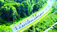 资本组建平台公司